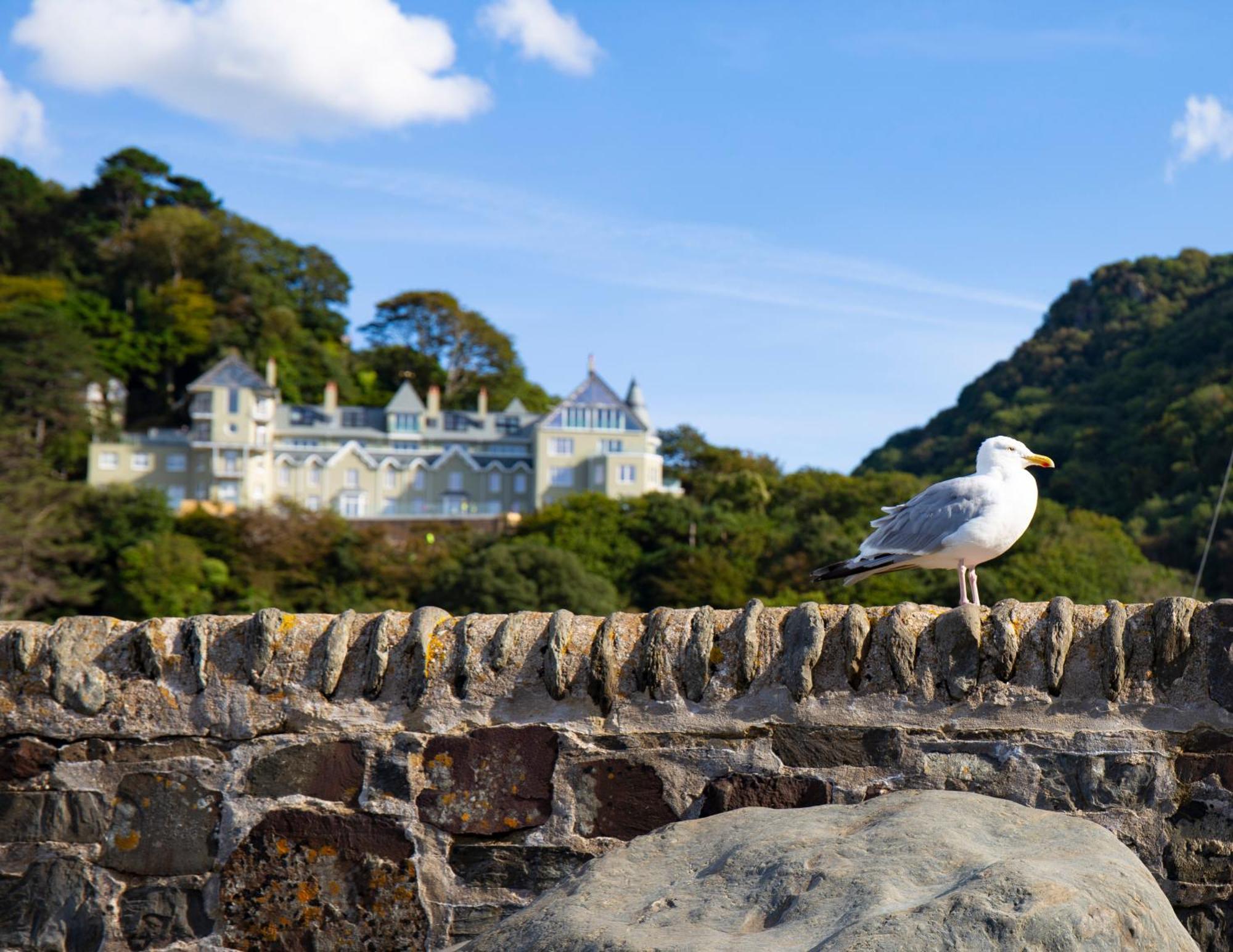 Ferienwohnung Tors Park Lynmouth Exterior foto