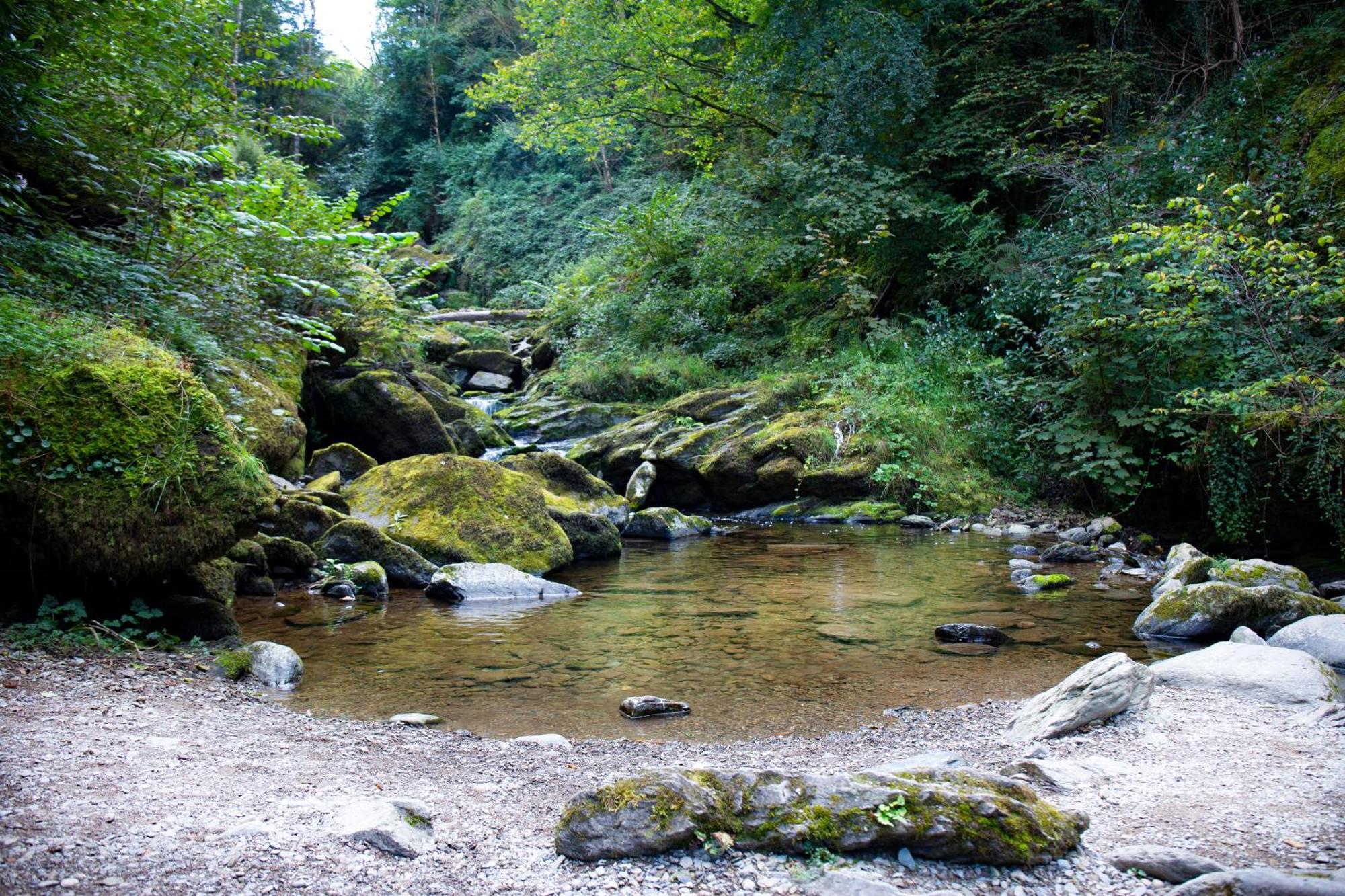 Ferienwohnung Tors Park Lynmouth Exterior foto